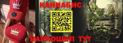 гидра Дубна